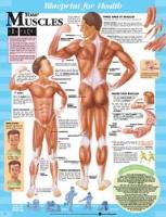 Book Cover for Blueprint for Health Your Muscles Chart by Anatomical Chart Company