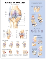 Book Cover for Knee Injuries Anatomical Chart by Anatomical Chart Company