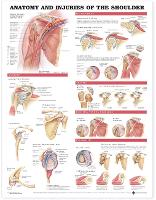 Book Cover for Anatomy and Injuries of the Shoulder Anatomical Chart by Anatomical Chart Company