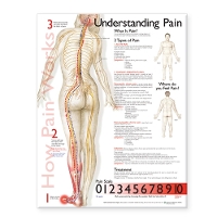 Book Cover for Understanding Pain Anatomical Chart by Anatomical Chart Company