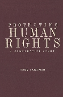 Book Cover for Protecting Human Rights by Todd Landman