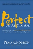 Book Cover for Perfect Just as You Are by Pema Chodron