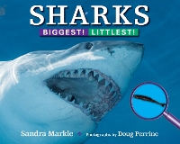 Book Cover for Sharks: Biggest! Littlest! by Sandra Markle