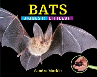 Book Cover for Bats by Sandra Markle