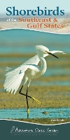 Book Cover for Shorebirds of the Southeast & Gulf States by Stan Tekiela