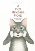 Book Cover for A Most Mysterious Mouse by Giovanna Zoboli