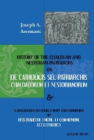 Book Cover for De Catholicis seu Patriarchis Chaldaeorum et Nestorianorum by Josephus Assemani