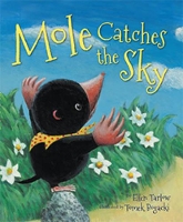 Book Cover for Mole Catches the Sky by Ellen Tarlow