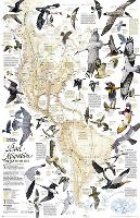 Book Cover for Bird Migration, Western Hemisphere, Tubed by National Geographic Maps