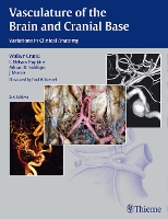 Book Cover for Vasculature of the Brain and Cranial Base by Walter Grand