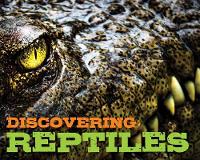 Book Cover for Discovering Reptiles Handbook by Cider Mill Press