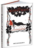 Book Cover for The Sleeping Beauty by Arthur Rackham