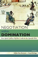 Book Cover for Negotiation within Domination by Ethelia Ruiz Medrano