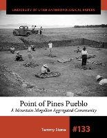 Book Cover for Point of Pines Pueblo by Tammy Stone