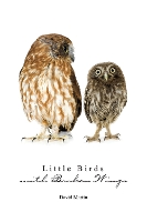 Book Cover for Little Birds with Broken Wings by David Martin