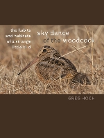 Book Cover for Sky Dance of the Woodcock by Greg Hoch