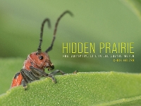Book Cover for Hidden Prairie by Chris Helzer