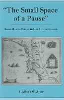 Book Cover for The Small Space of a Pause by Elisabeth W Joyce