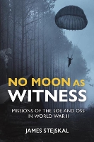 Book Cover for No Moon as Witness by James Stejskal
