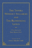 Book Cover for The Tantra Without Syllables (Volume 3) and The Blazing Lamp Tantra (Volume 4) by Malcolm Smith