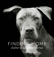 Book Cover for Finding Home by Traer Scott