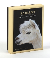 Book Cover for Radiant Notecards by Traer Scott