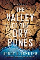Book Cover for THE VALLEY OF DRY BONES by Jerry B. Jenkins