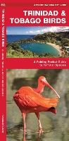 Book Cover for Trinidad & Tobago Birds by James Kavanagh