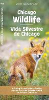 Book Cover for Chicago Wildlife/Fauna de Chicago by Waterford Press Waterford Press