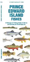 Book Cover for Prince Edward Island Fishes by Matthew Morris Matthew Morris, Waterford Press Waterford Press