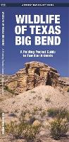 Book Cover for Wildlife of Texas Big Bend by Waterford Press