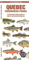 Book Cover for Quebec Freshwater Fishes by Matthew, Waterford Press Morris, Jill, Waterford Press Kavanagh