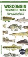 Book Cover for Wisconsin Freshwater Fishes by Matthew, Waterford Press Morris, Jill, Waterford Press Kavanagh