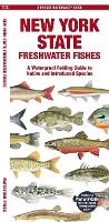 Book Cover for New York State Freshwater Fishes by Matthew, Waterford Press Morris, Jill, Waterford Press Kavanagh