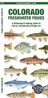Book Cover for Colorado Freshwater Fishes by Matthew, Waterford Press Morris, Jill, Waterford Press Kavanagh