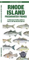 Book Cover for Rhode Island Freshwater Fishes by Matthew, Waterford Press Morris, Jill, Waterford Press Kavanagh