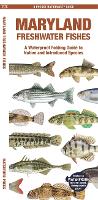 Book Cover for Maryland Freshwater Fishes by Matthew Morris Matthew Morris, Jill, Waterford Press Kavanagh