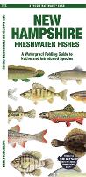 Book Cover for New Hampshire Freshwater Fishes by Waterford Press, Jill, Waterford Press Kavanagh