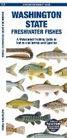 Book Cover for Washington State Freshwater Fishes by Jill, Waterford Press Kavanagh, Waterford Press Waterford Press