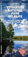 Book Cover for Voyageurs National Park Wildlife by Jill, Waterford Press Kavanagh