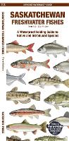 Book Cover for Saskatchewan Freshwater Fishes by Matthew, Waterford Press Morris, Christopher Sommers, Jill, Waterford Press Kavanagh