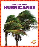 Book Cover for Hurricanes by Cari Meister