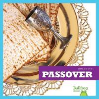 Book Cover for Passover by R J Bailey