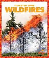 Book Cover for Wildfires by Vanessa Black