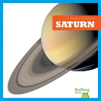 Book Cover for Saturn by Vanessa Black