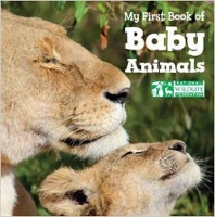 Book Cover for My First Book of Baby Animals (National Wildlife Federation) by National Wildlife Federation