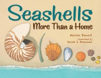 Book Cover for Seashells by Melissa Stewart