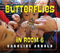 Book Cover for Butterflies in Room 6 by Caroline Arnold