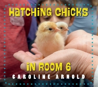 Book Cover for Hatching Chicks in Room 6 by Caroline Arnold