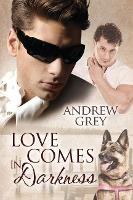 Book Cover for Love Comes in Darkness by Andrew Grey